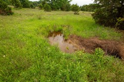 Moonrise Meadows Tract 18