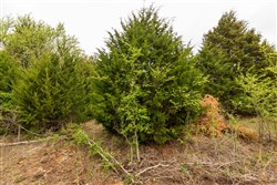 Moonrise Meadows Tract 18