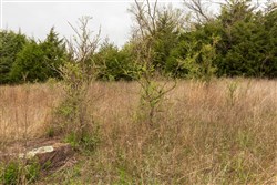 Moonrise Meadows Tract 18