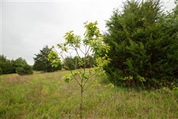 Moonrise Meadows Tract 2