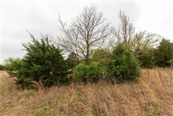 Moonrise Meadows Tract 2