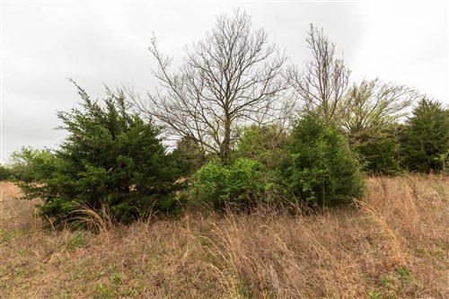 Moonrise Meadows Tract 2