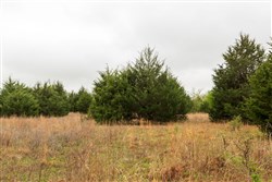 Moonrise Meadows Tract 2