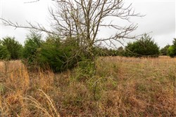 Moonrise Meadows Tract 2