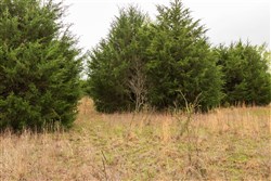 Moonrise Meadows Tract 2
