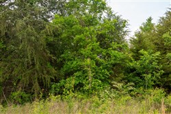 Moonrise Meadows Tract 22