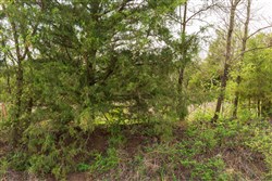 Moonrise Meadows Tract 22