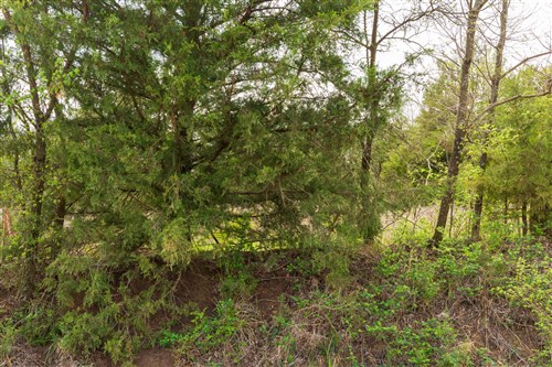 Moonrise Meadows Tract 22