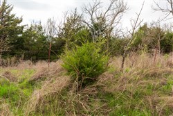 Moonrise Meadows Tract 22