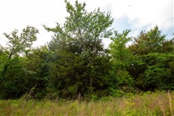 Moonrise Meadows Tract 22