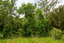 Moonrise Meadows Tract 23