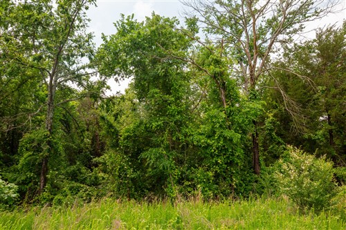 Moonrise Meadows Tract 23