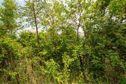 Moonrise Meadows Tract 23