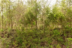 Moonrise Meadows Tract 23