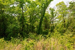 property photo for Moonrise Meadows Tract 24, 4.84 acres for sale in Okfuskee County, Oklahoma