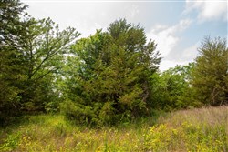 property photo for Moonrise Meadows Tract 24, 4.84 acres for sale in Okfuskee County, Oklahoma
