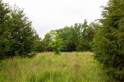 Moonrise Meadows Tract 4