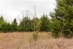 Moonrise Meadows Tract 4