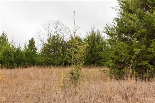 Moonrise Meadows Tract 4
