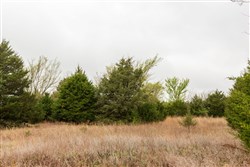 Moonrise Meadows Tract 4