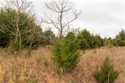 property photo for Moonrise Meadows Tract 5, 6.18 acres for sale in Okfuskee County, Oklahoma