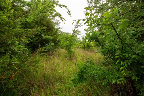 Moonrise Meadows Tract 6