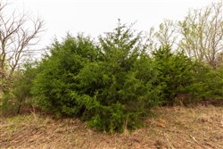 Moonrise Meadows Tract 6