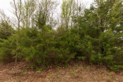 Moonrise Meadows Tract 6