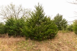 Moonrise Meadows Tract 6