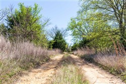 Prairie Grove Tract 11
