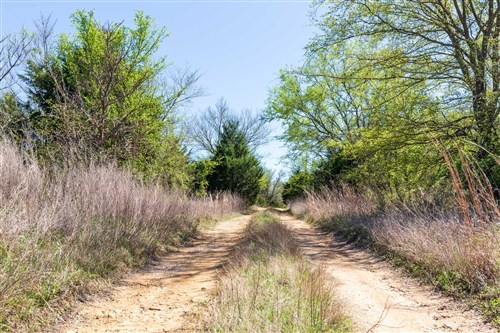 Prairie Grove Tract 11