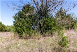 Prairie Grove Tract 11