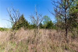 Prairie Grove Tract 11