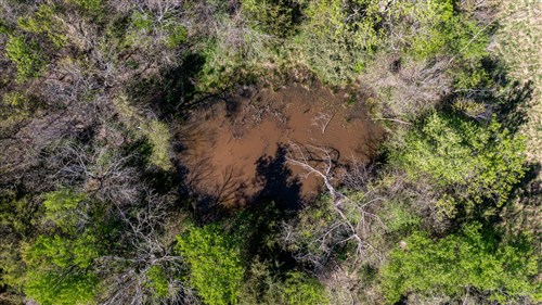 Prairie Grove Tract 12