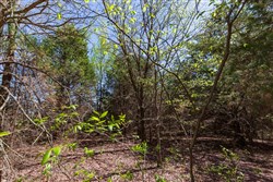 Prairie Grove Tract 12