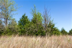 Prairie Grove Tract 12