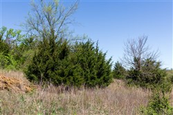 Prairie Grove Tract 16