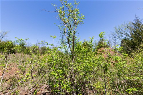 Prairie Grove Tract 16