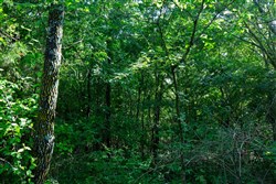 Prairie Grove Tract 16