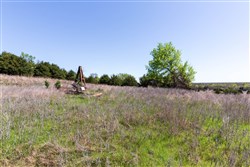 Prairie Grove Tract 18