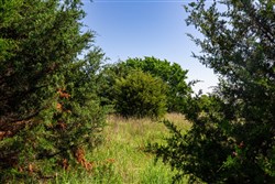 Prairie Grove Tract 18