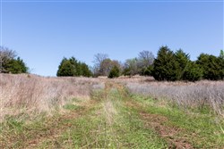 Prairie Grove Tract 19