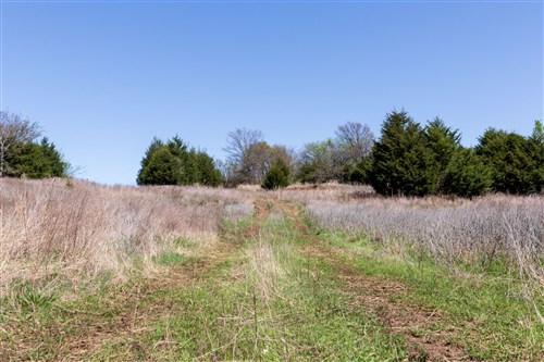 Prairie Grove Tract 19