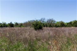 Prairie Grove Tract 19