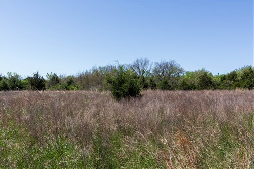 Prairie Grove Tract 19