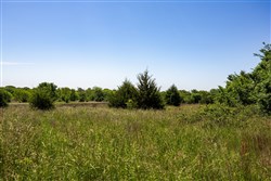 Prairie Grove Tract 19