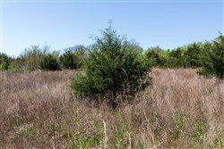 Prairie Grove Tract 19