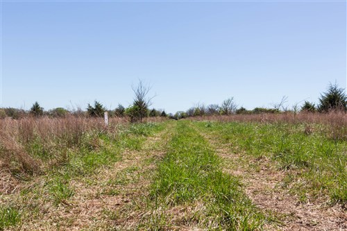 Prairie Grove Tract 25