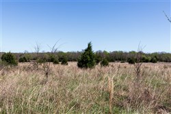 Prairie Grove Tract 25