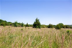 Prairie Grove Tract 25